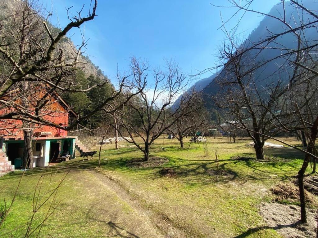 The Royal Orchard Kasol酒店 外观 照片